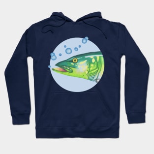 Northern Pike - Fish :: Sea Creatures Hoodie